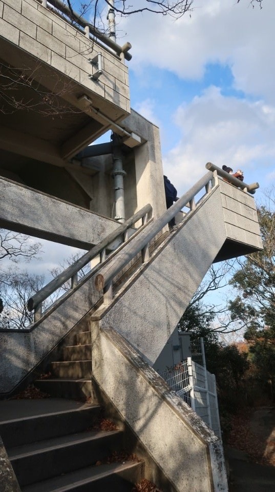 國防最前線 日本最遠的國境之島「對馬島」~最強之城金田城跡 保護石虎山貓 風景美到像假的