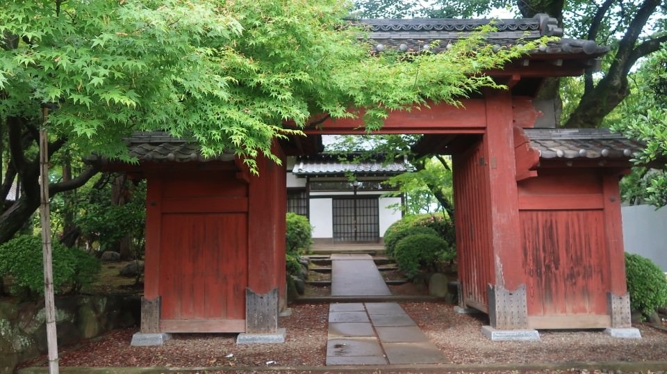 日本關東︱東京世田谷區文青散策 豪德寺遇見千隻招福貓 東京茶寮手沖日本茶 白髭泡芙工房龍貓泡芙
