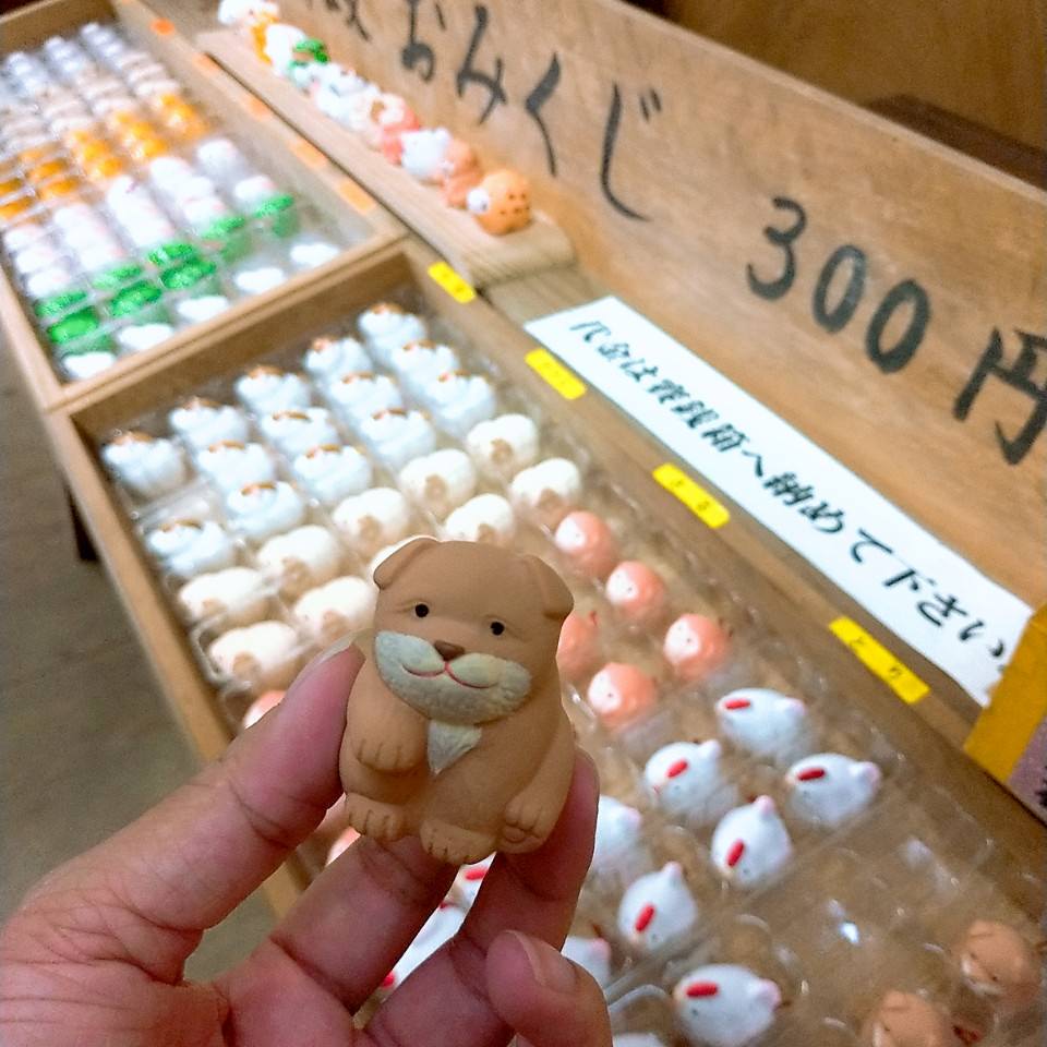 日本四國┃德島縣二日巴士券（BAS PASS）交通省很大(任選二日使用)鳴門漩渦、小矽谷神山町