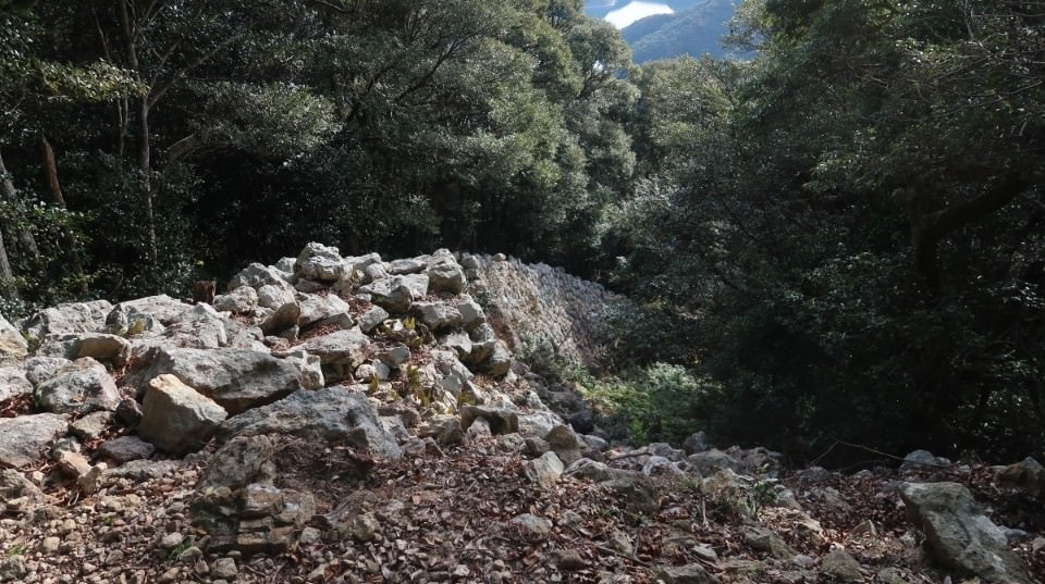 國防最前線 日本最遠的國境之島「對馬島」~最強之城金田城跡 保護石虎山貓 風景美到像假的