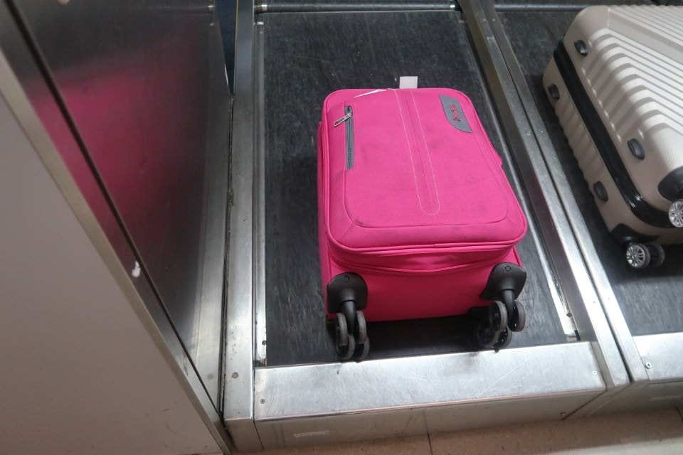 日本山陰山陽┃春櫻鳥取賞櫻 3小時2000日幣計程車 株湯咖啡 鳥取砂丘 和牛燒肉 鳥取站大買 (下集)