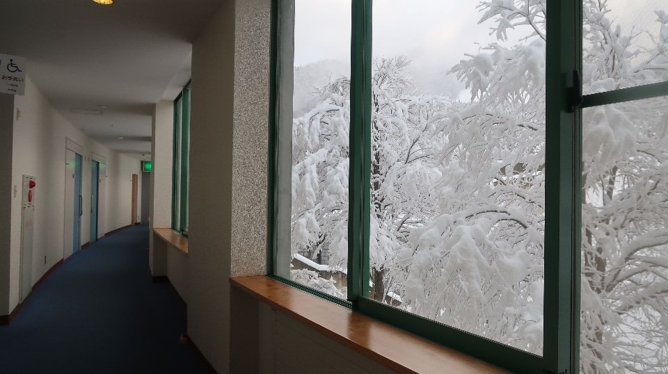日本山陰山陽┃鳥取若櫻住一晚 高原冰太住宿冬玩雪夏登山 (搭配若櫻鐵道昭和號列車 昭和玩具館)超充實