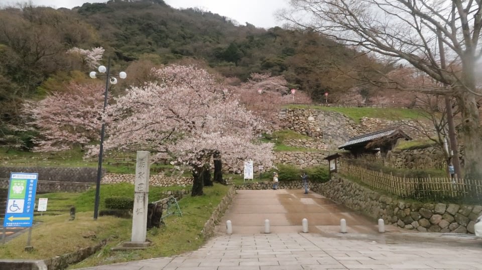 日本山陰山陽┃春櫻鳥取關西機場OCAT難波搭巴士 袋川櫻土手賞櫻 鹿野城跡蕎麥麵 鳥取城跡櫻花宿舍 (上集) - 第34張圖 日本山陰山陽┃春櫻鳥取關西機場OCAT難波搭巴士 袋川櫻土手賞櫻 鹿野城跡蕎麥麵 鳥取城跡櫻花宿舍 (上集)