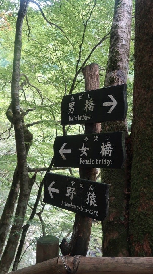 日本四國┃德島縣西部秘境祖谷+奧祖谷景點全覽 計程車包車方案 藤蔓橋 落合集落 稻草人村