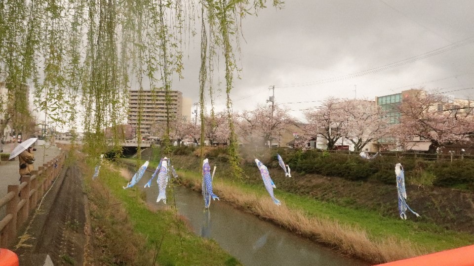 日本山陰山陽┃春櫻鳥取關西機場OCAT難波搭巴士 袋川櫻土手賞櫻 鹿野城跡蕎麥麵 鳥取城跡櫻花宿舍 (上集) - 第30張圖 日本山陰山陽┃春櫻鳥取關西機場OCAT難波搭巴士 袋川櫻土手賞櫻 鹿野城跡蕎麥麵 鳥取城跡櫻花宿舍 (上集)