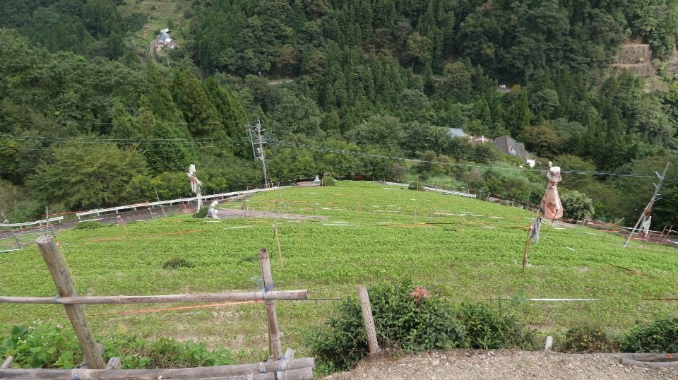 四國德島┃日本三大秘境德島祖谷 辦公兼旅遊更多好發想 租借古民家企業個人工作新型態 產業交流參訪