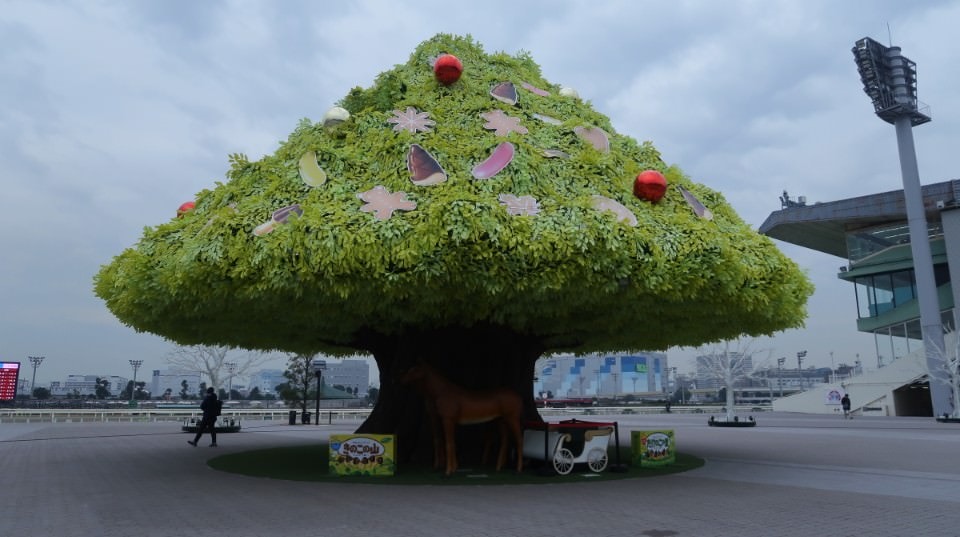 日本關東┃東京大井賽馬場 東京漏掉沒去的快去 專業訓練的馬兒就是不一樣 園區必作五大功課 大井競馬場