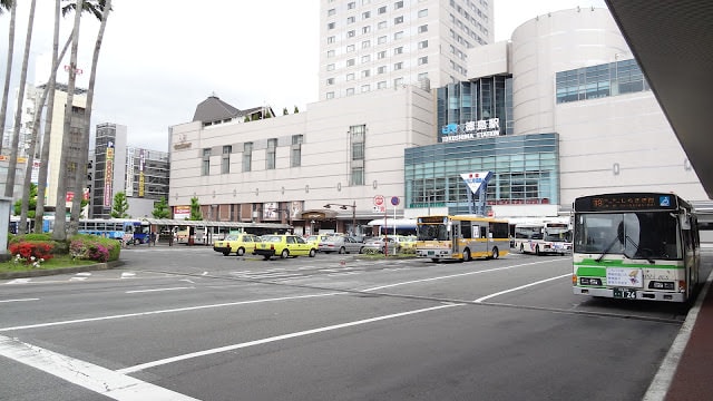 日本四國┃關西機場前往四國德島市住一晚 搭葫蘆島船永旺購物 新鮮納得市釣魚燒烤 - 第8張圖 日本四國┃關西機場前往四國德島市住一晚 搭葫蘆島船永旺購物 新鮮納得市釣魚燒烤