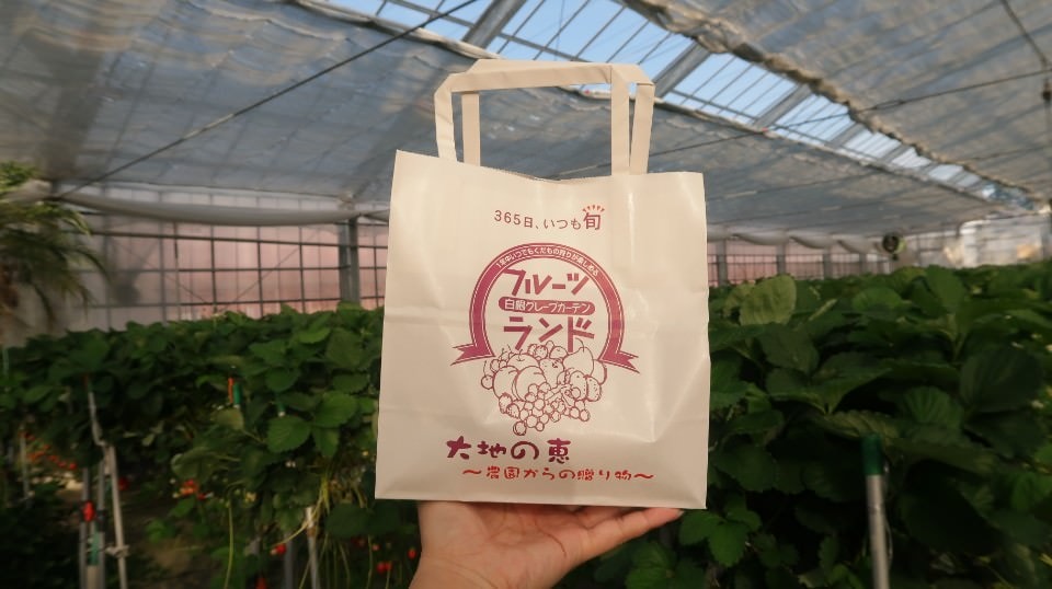 (日本關東)東京近郊新潟市區超好玩 JR新潟站前 北方博物館古代豪宅 物產館日本酒 採果採草莓(下集)