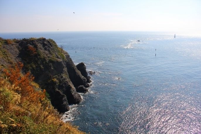 國防最前線 日本最遠的國境之島「對馬島」~最強之城金田城跡 保護石虎山貓 風景美到像假的
