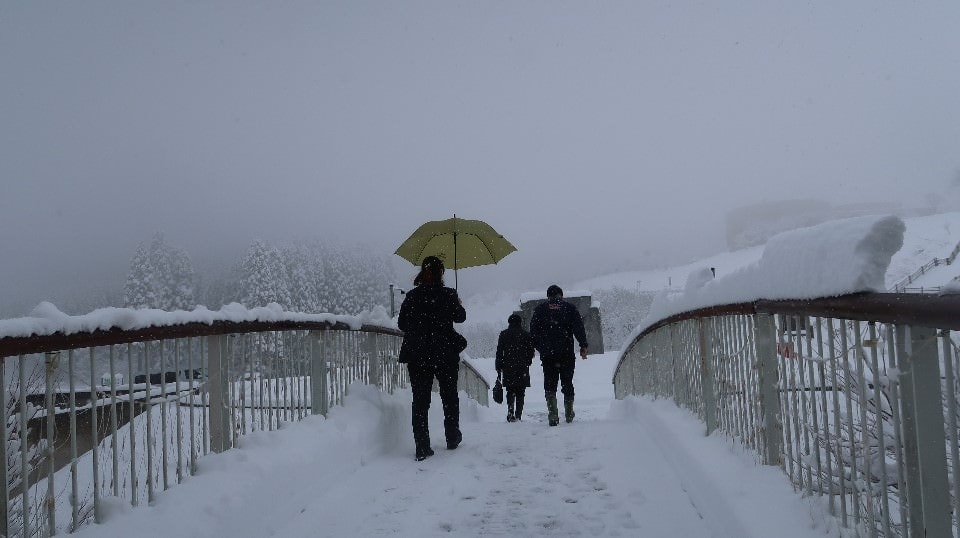 日本山陰山陽┃鳥取若櫻住一晚 高原冰太住宿冬玩雪夏登山 (搭配若櫻鐵道昭和號列車 昭和玩具館)超充實