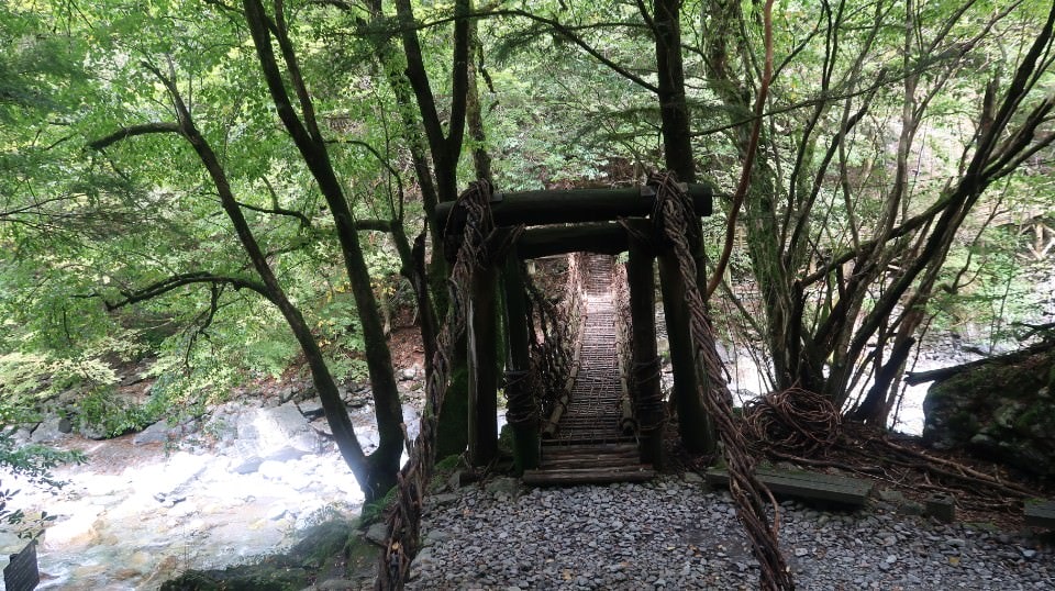 日本四國┃德島縣西部秘境祖谷+奧祖谷景點全覽 計程車包車方案 藤蔓橋 落合集落 稻草人村