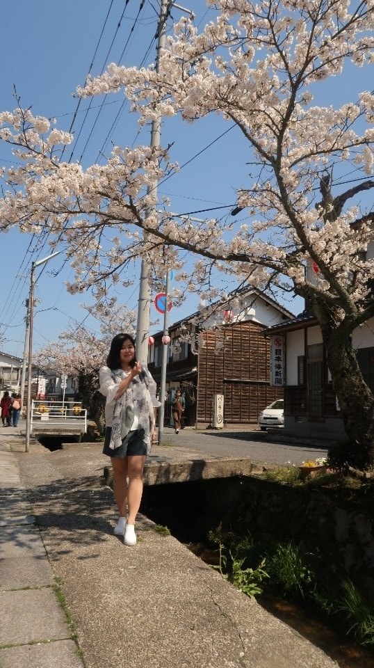 日本山陰山陽┃春櫻鳥取賞櫻 3小時2000日幣計程車 株湯咖啡 鳥取砂丘 和牛燒肉 鳥取站大買 (下集)