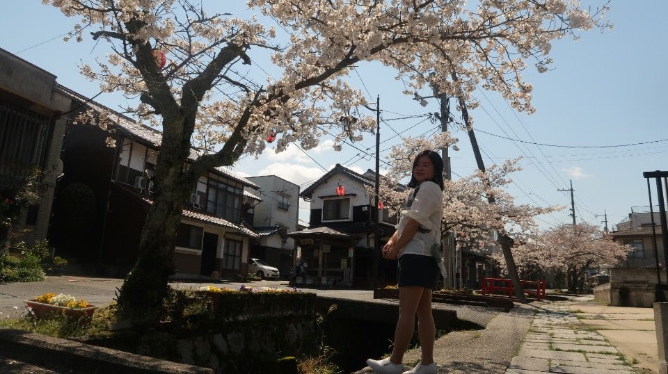 日本山陰山陽┃春櫻鳥取賞櫻 3小時2000日幣計程車 株湯咖啡 鳥取砂丘 和牛燒肉 鳥取站大買 (下集)