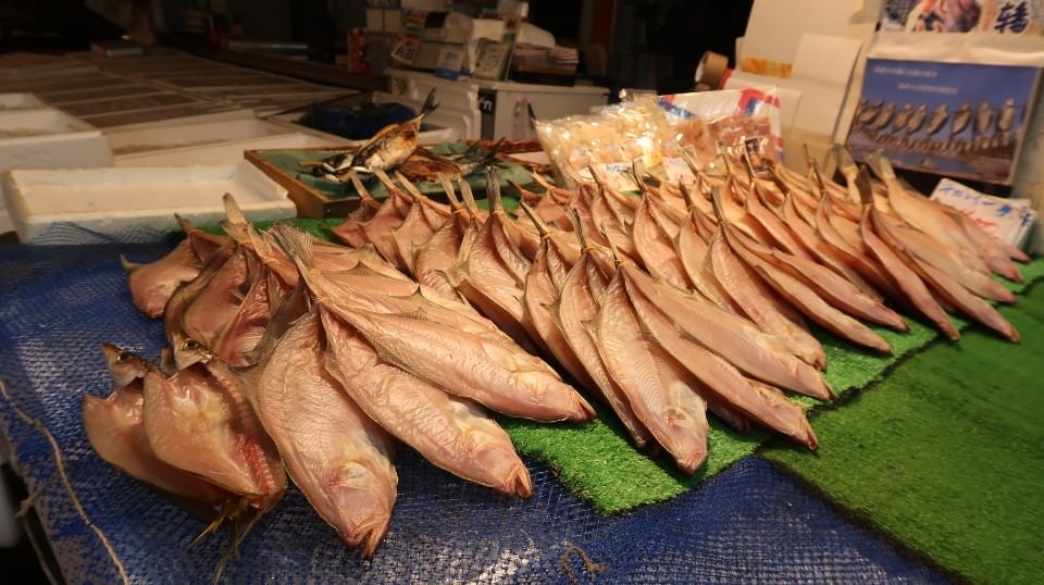 日本山陰山陽┃春櫻鳥取賞櫻 3小時2000日幣計程車 株湯咖啡 鳥取砂丘 和牛燒肉 鳥取站大買 (下集)