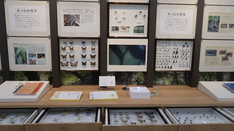 日本山陰山陽┃鳥取若櫻全筆記 昭和號八頭號SL號鐵道迷 高原冰太住宿冬玩雪夏登山 OCAT難波站巴士直達