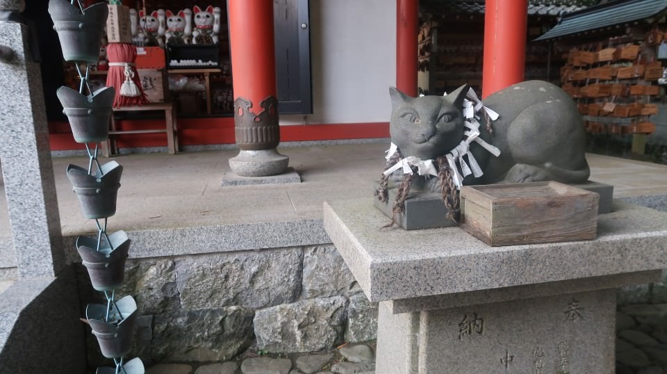 日本四國┃德島縣南部景點 阿松大權現 招財貓神社「お松大権現」商業繁榮 試驗合格 就職順利