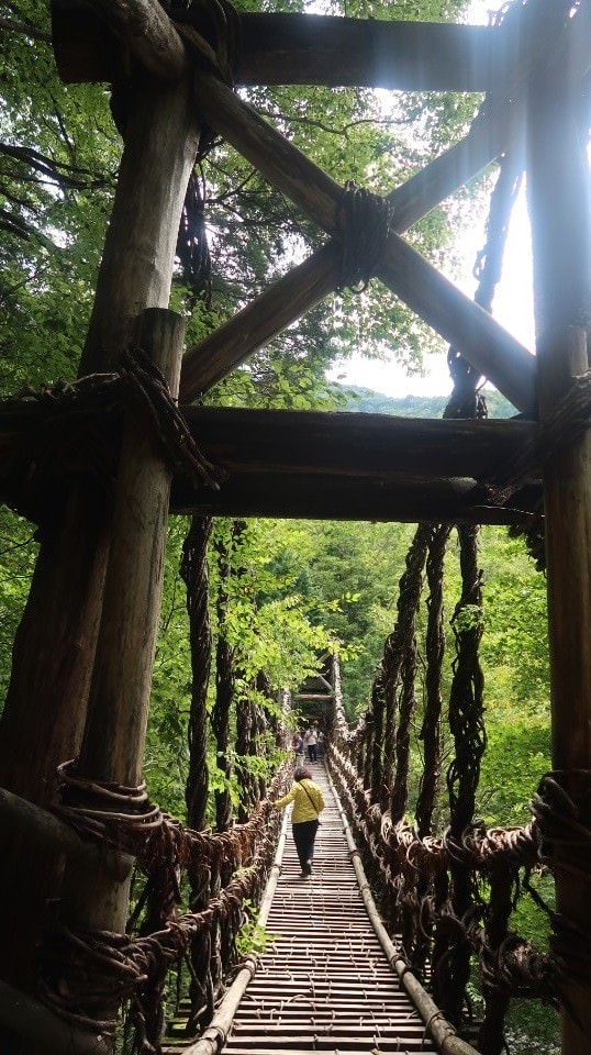 日本四國┃德島縣西部秘境祖谷+奧祖谷景點全覽 計程車包車方案 藤蔓橋 落合集落 稻草人村