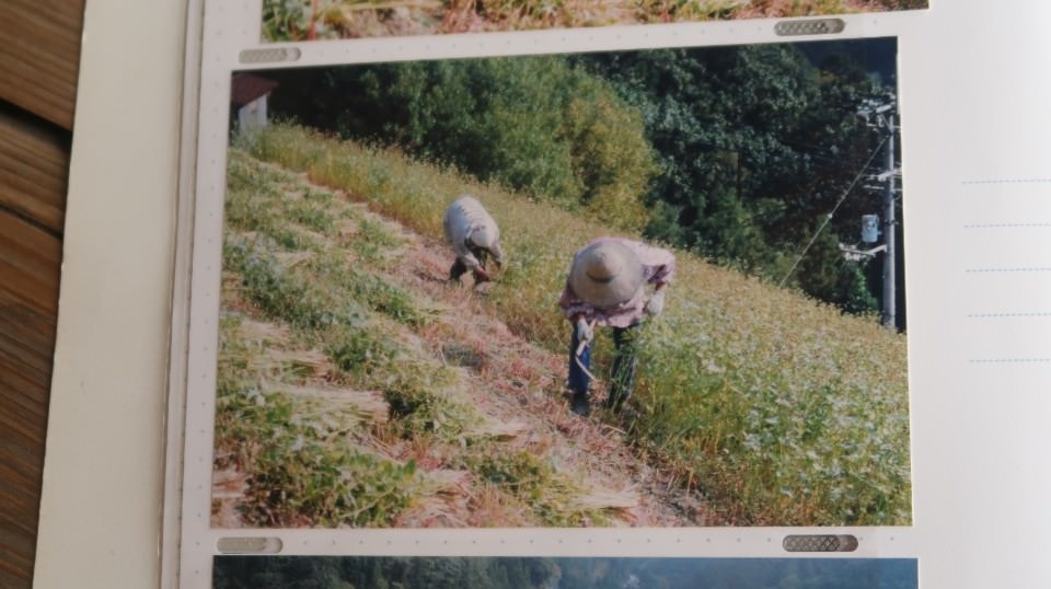 四國德島┃日本三大秘境德島祖谷 辦公兼旅遊更多好發想 租借古民家企業個人工作新型態 產業交流參訪