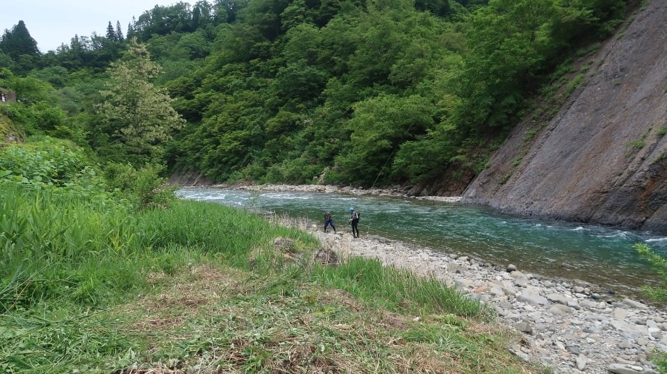 (日本關東)東京近郊走走新潟 大地藝術祭十日町清津峽 農舞台 長岡寺泊魚市 越後丘陵玫瑰園 彌彥神社