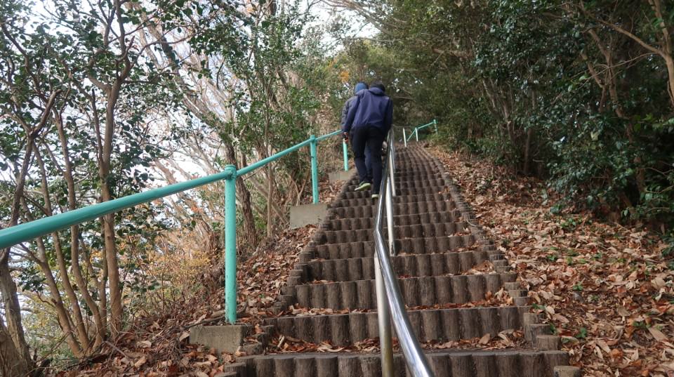 國防最前線 日本最遠的國境之島「對馬島」~最強之城金田城跡 保護石虎山貓 風景美到像假的