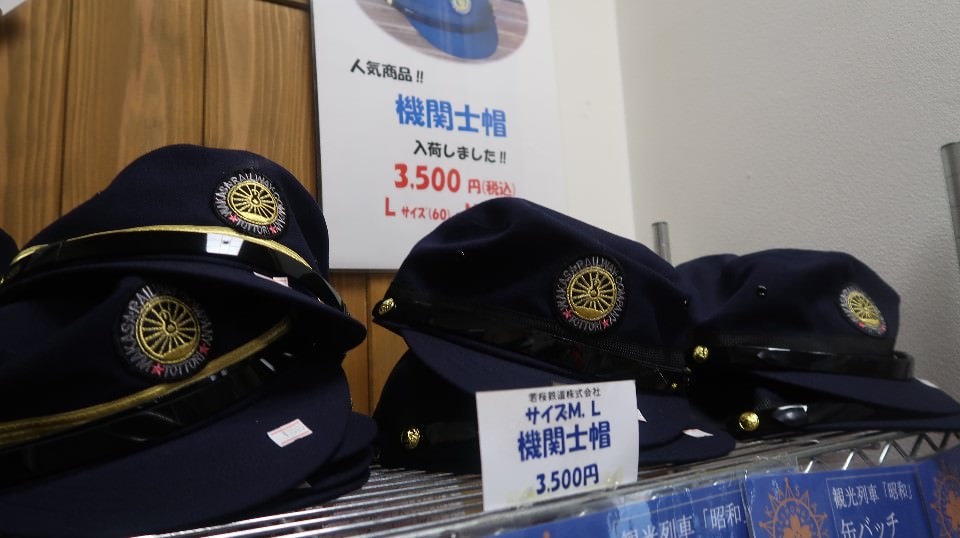 日本山陰山陽┃鳥取若櫻全筆記 昭和號八頭號SL號鐵道迷 高原冰太住宿冬玩雪夏登山 OCAT難波站巴士直達