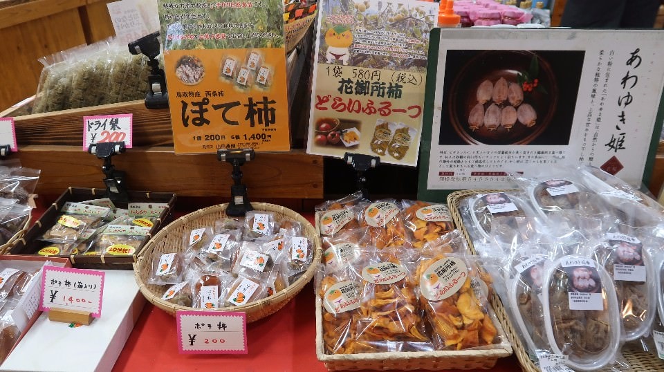 日本山陰山陽┃回到昭和時代旅遊新提案「鳥取市+若櫻町」SL鐵道迷水戶岡大師昭和號列車 鳥取砂丘 白兔神社