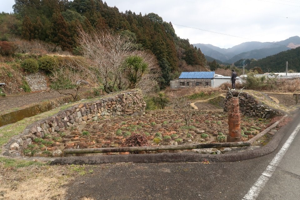 日本四國┃傳奇零垃圾「德島縣上勝町」日本最美村莊百選梯田 弘法大師修行灌頂瀑布 月之宿溫泉 (下集)