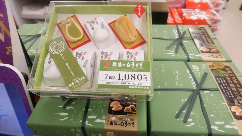 日本山陰山陽┃春櫻鳥取賞櫻 3小時2000日幣計程車 株湯咖啡 鳥取砂丘 和牛燒肉 鳥取站大買 (下集)