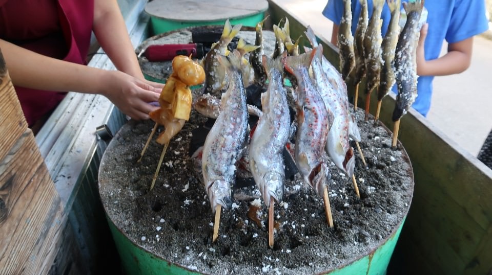 日本四國┃德島縣西部秘境祖谷+奧祖谷景點全覽 計程車包車方案 藤蔓橋 落合集落 稻草人村