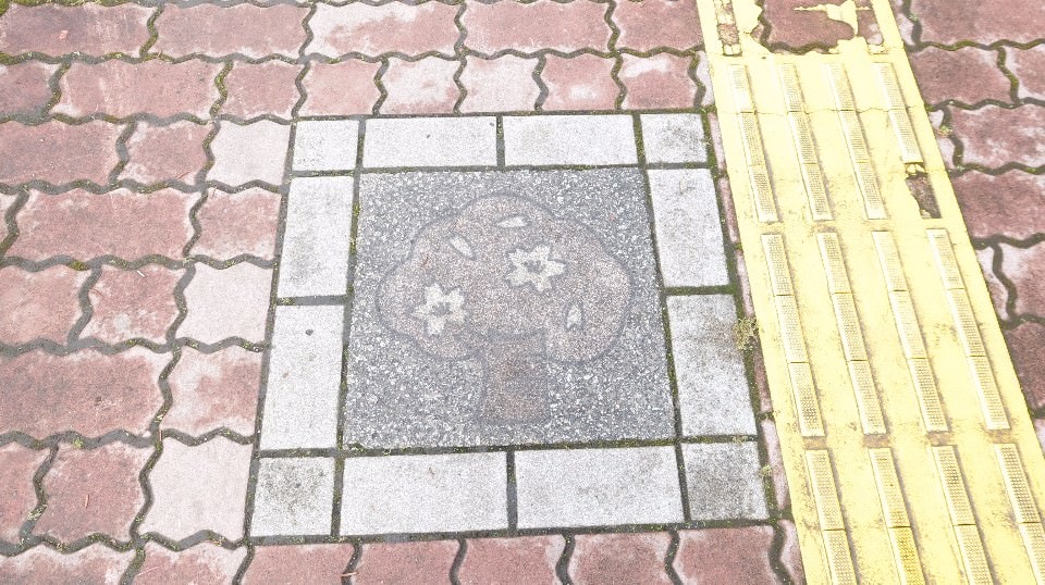 日本山陰山陽┃回到昭和時代旅遊新提案「鳥取市+若櫻町」SL鐵道迷水戶岡大師昭和號列車 鳥取砂丘 白兔神社