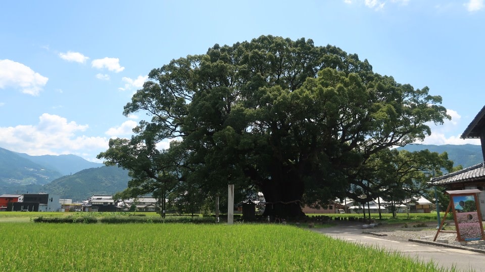 四國德島┃日本三大秘境德島祖谷 辦公兼旅遊更多好發想 租借古民家企業個人工作新型態 產業交流參訪