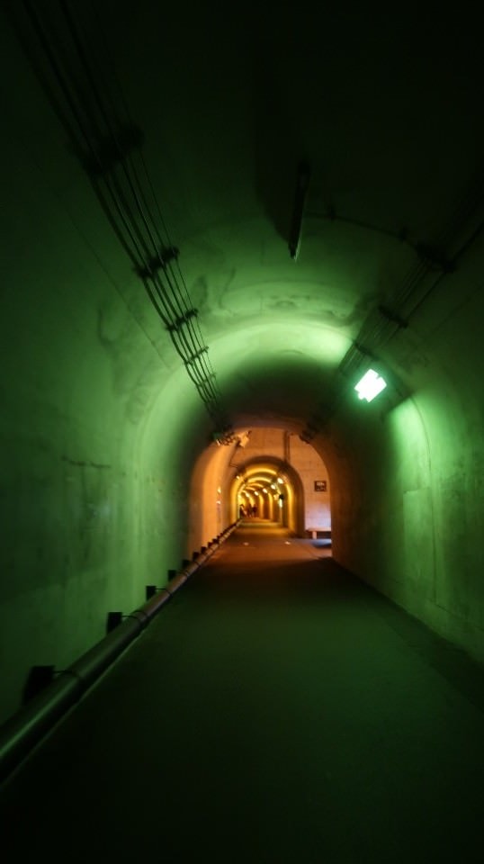 (日本關東)東京近郊走走新潟 大地藝術祭十日町清津峽 農舞台 長岡寺泊魚市 越後丘陵玫瑰園 彌彥神社