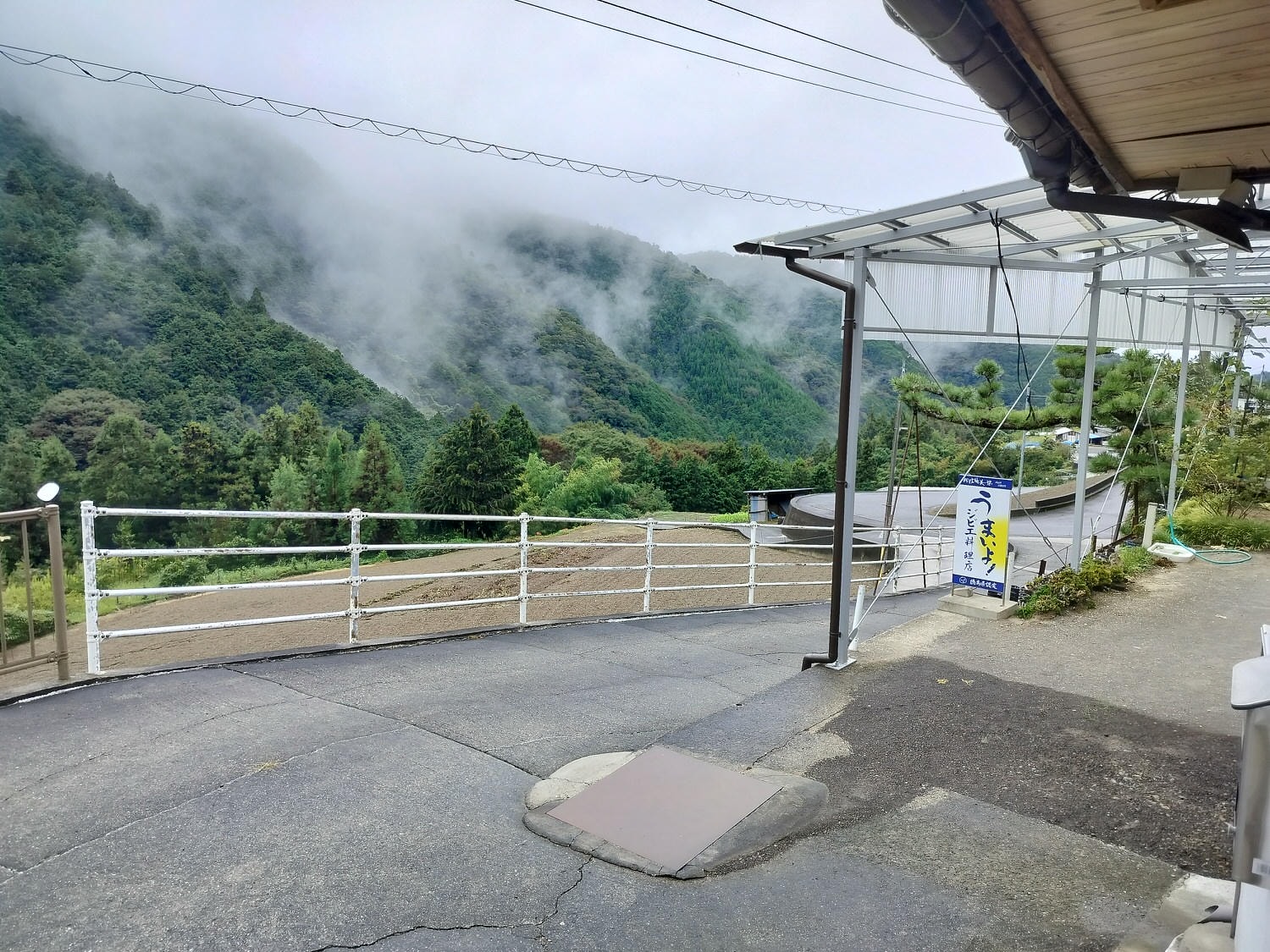 德島民宿┃打獵鹿爺爺秘境山上住一晚「うり坊(屋里坊)1泊2食鹿肉大餐拔麝香葡萄 JR阿波池田站接送 預約教學