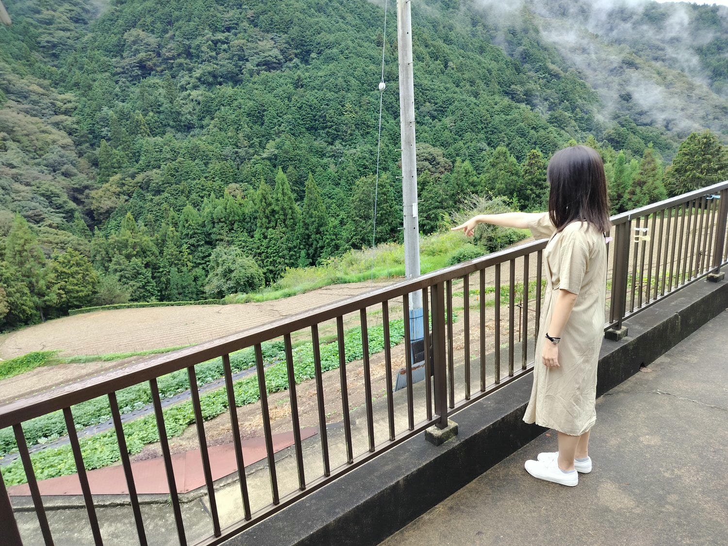 德島民宿┃打獵鹿爺爺秘境山上住一晚「うり坊(屋里坊)1泊2食鹿肉大餐拔麝香葡萄 JR阿波池田站接送 預約教學