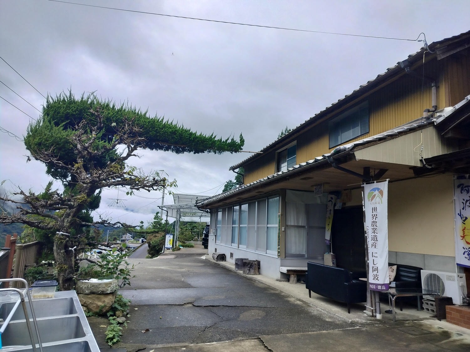 德島民宿┃打獵鹿爺爺秘境山上住一晚「うり坊(屋里坊)1泊2食鹿肉大餐拔麝香葡萄 JR阿波池田站接送 預約教學