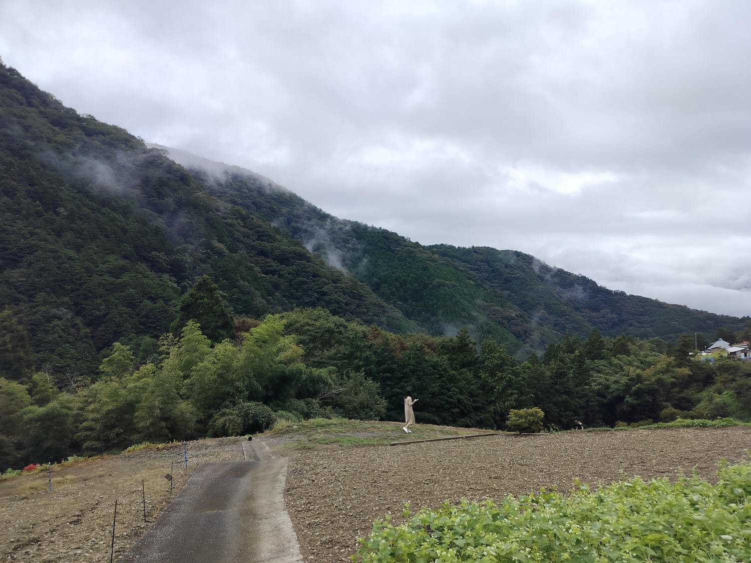 德島民宿┃打獵鹿爺爺秘境山上住一晚「うり坊(屋里坊)1泊2食鹿肉大餐拔麝香葡萄 JR阿波池田站接送 預約教學