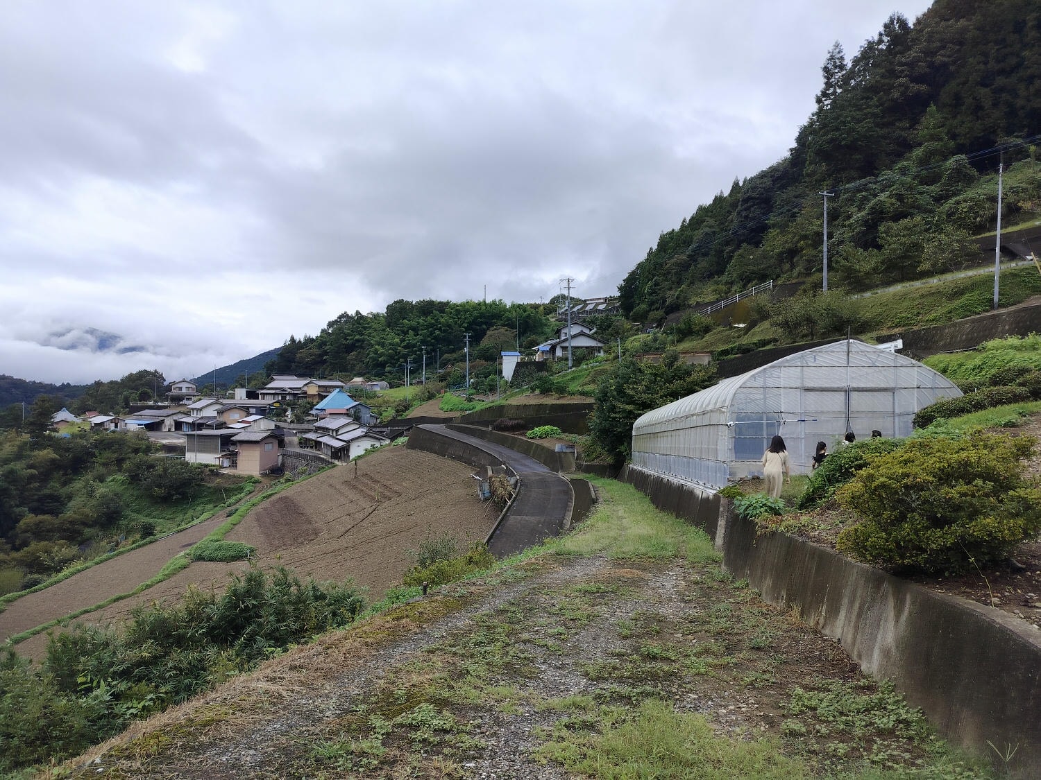 德島民宿┃打獵鹿爺爺秘境山上住一晚「うり坊(屋里坊)1泊2食鹿肉大餐拔麝香葡萄 JR阿波池田站接送 預約教學