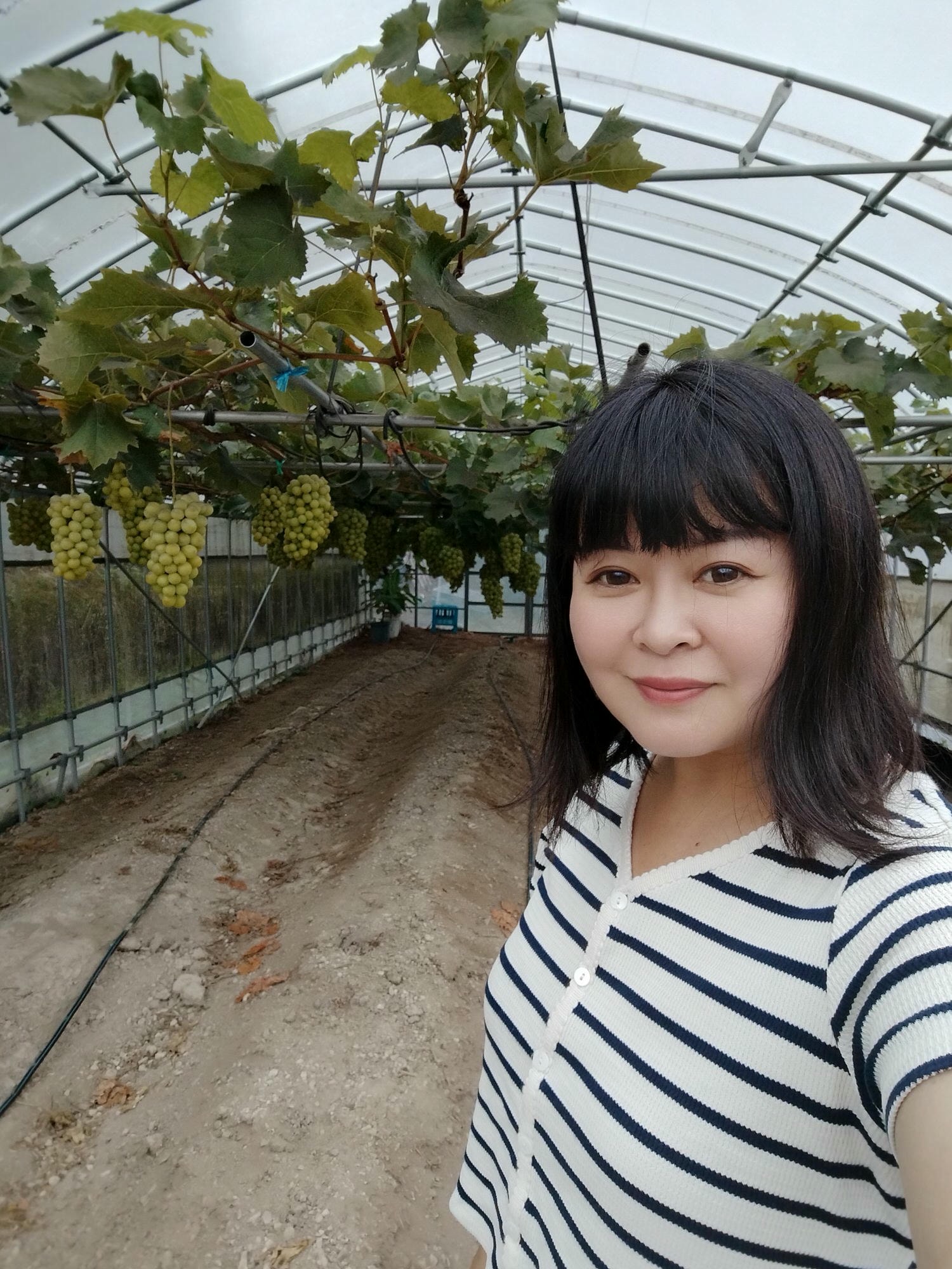 德島民宿┃打獵鹿爺爺秘境山上住一晚「うり坊(屋里坊)1泊2食鹿肉大餐拔麝香葡萄 JR阿波池田站接送 預約教學