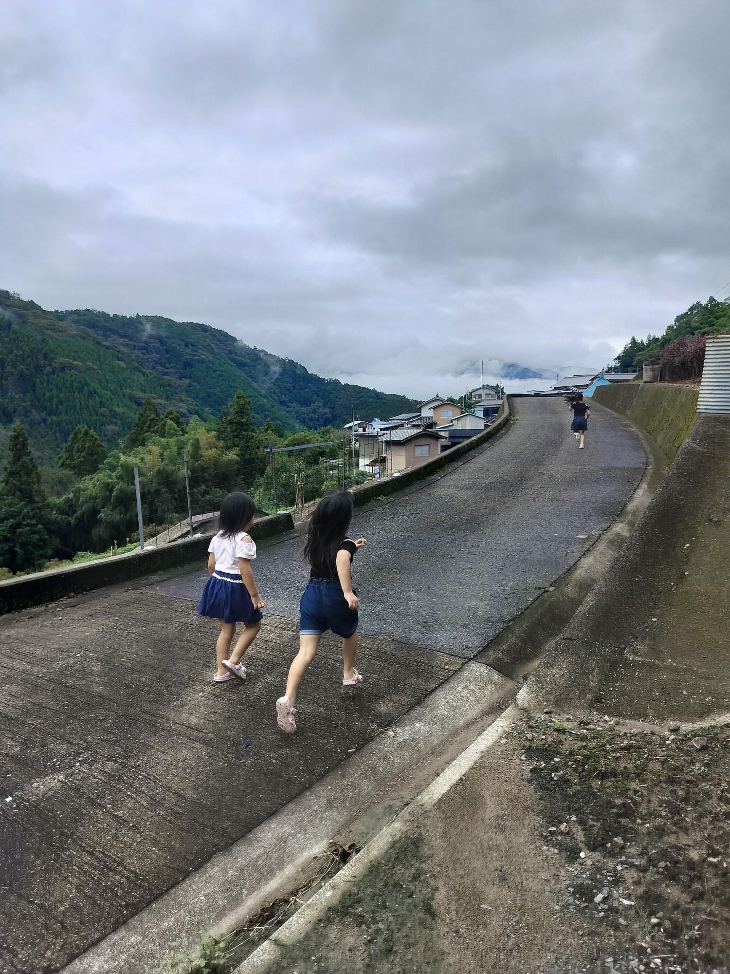 德島民宿┃打獵鹿爺爺秘境山上住一晚「うり坊(屋里坊)1泊2食鹿肉大餐拔麝香葡萄 JR阿波池田站接送 預約教學