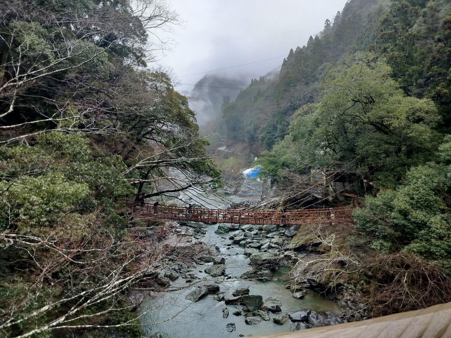 四國德島自由行┃秘境祖谷大步危包車預約教學 包車多少錢(三小時藤蔓橋小便小僧 巨木神社) - 第16張圖 四國德島自由行┃秘境祖谷大步危包車預約教學 包車多少錢(三小時藤蔓橋小便小僧 巨木神社)