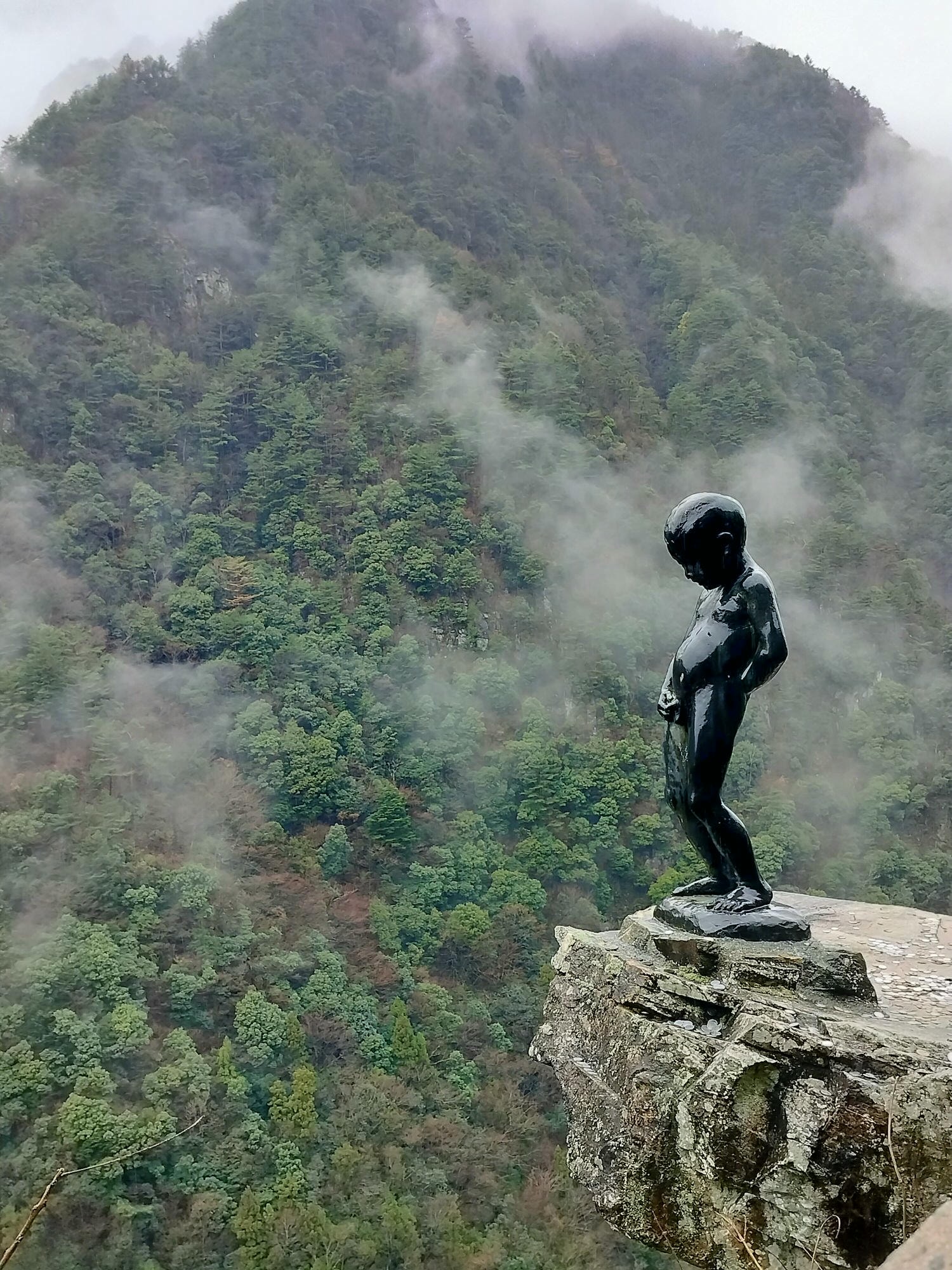 四國德島自由行┃秘境祖谷大步危包車預約教學 包車多少錢(三小時藤蔓橋小便小僧 巨木神社) - 第22張圖 四國德島自由行┃秘境祖谷大步危包車預約教學 包車多少錢(三小時藤蔓橋小便小僧 巨木神社)