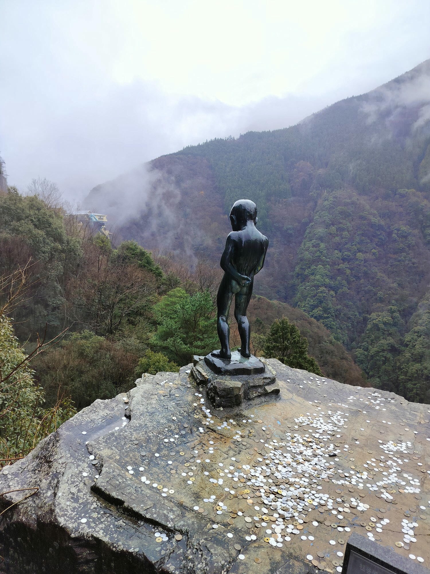 四國德島自由行┃秘境祖谷大步危包車預約教學 包車多少錢(三小時藤蔓橋小便小僧 巨木神社) - 第23張圖 四國德島自由行┃秘境祖谷大步危包車預約教學 包車多少錢(三小時藤蔓橋小便小僧 巨木神社)