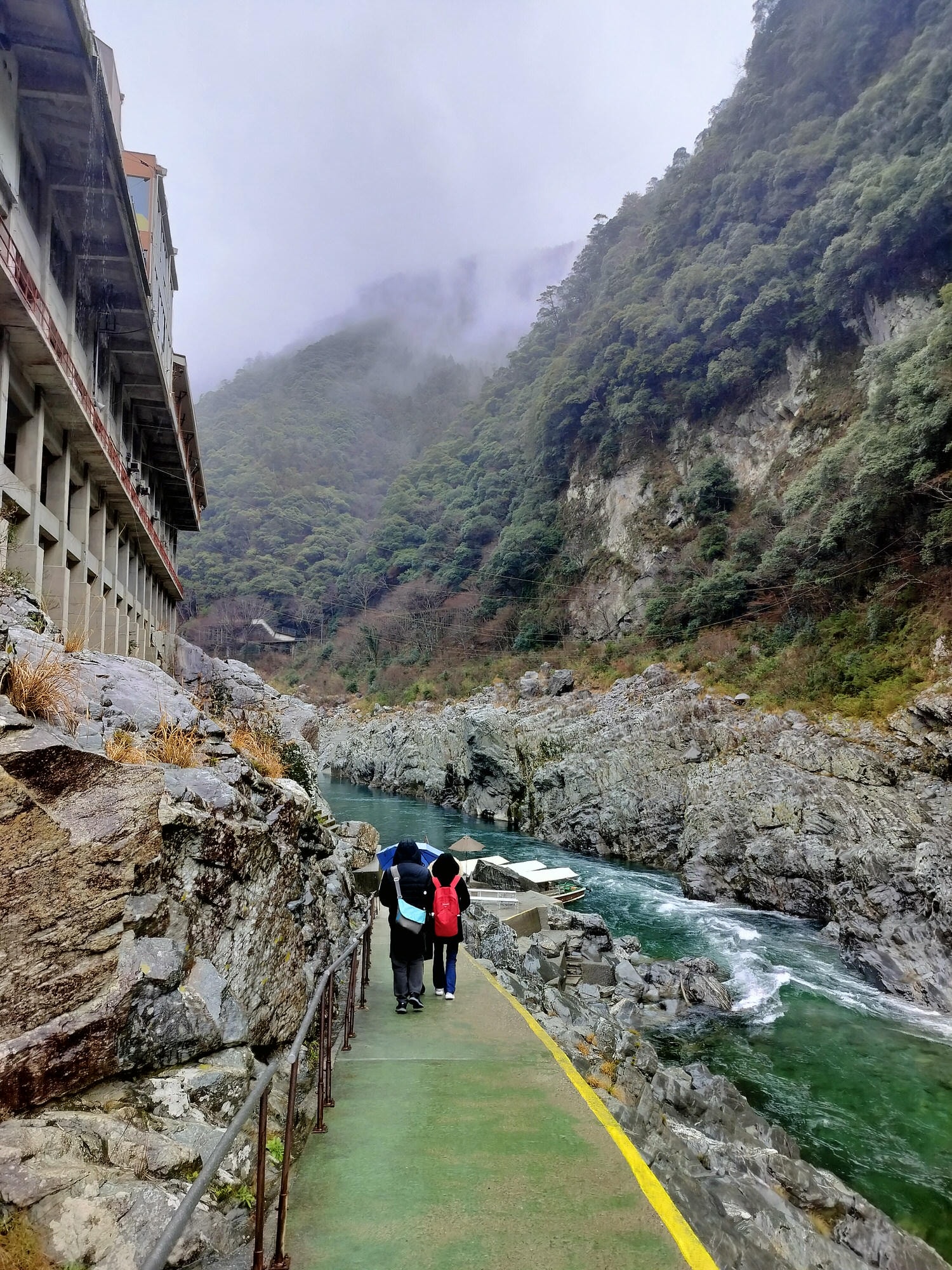 四國德島自由行┃秘境祖谷大步危包車預約教學 包車多少錢(三小時藤蔓橋小便小僧 巨木神社) - 第32張圖 四國德島自由行┃秘境祖谷大步危包車預約教學 包車多少錢(三小時藤蔓橋小便小僧 巨木神社)