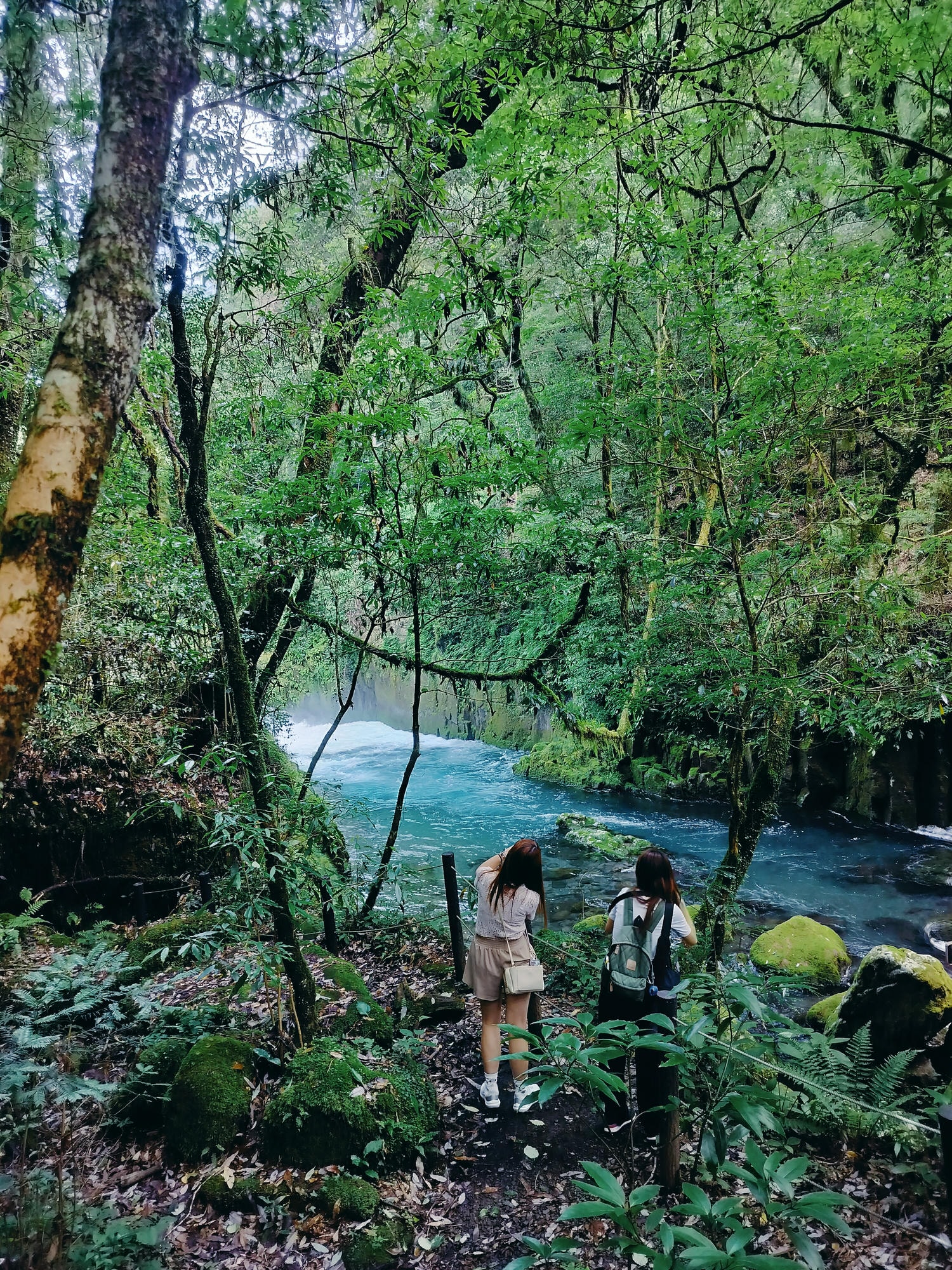 九州熊本┃阿蘇國立公園百選森林浴-菊池溪谷 網美哈密瓜巨蛋館買名產 熊本縣菊池市自駕推薦!
