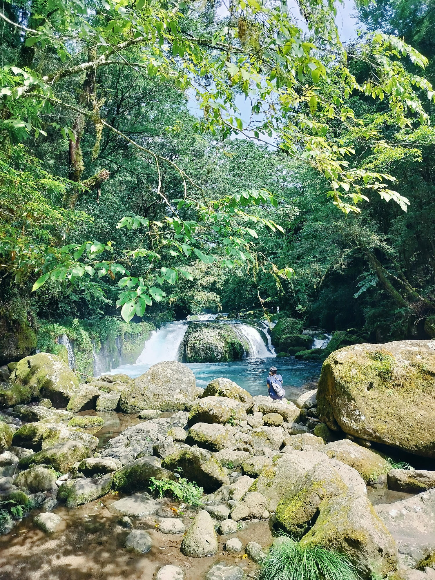九州熊本┃阿蘇國立公園百選森林浴-菊池溪谷 網美哈密瓜巨蛋館買名產 熊本縣菊池市自駕推薦!