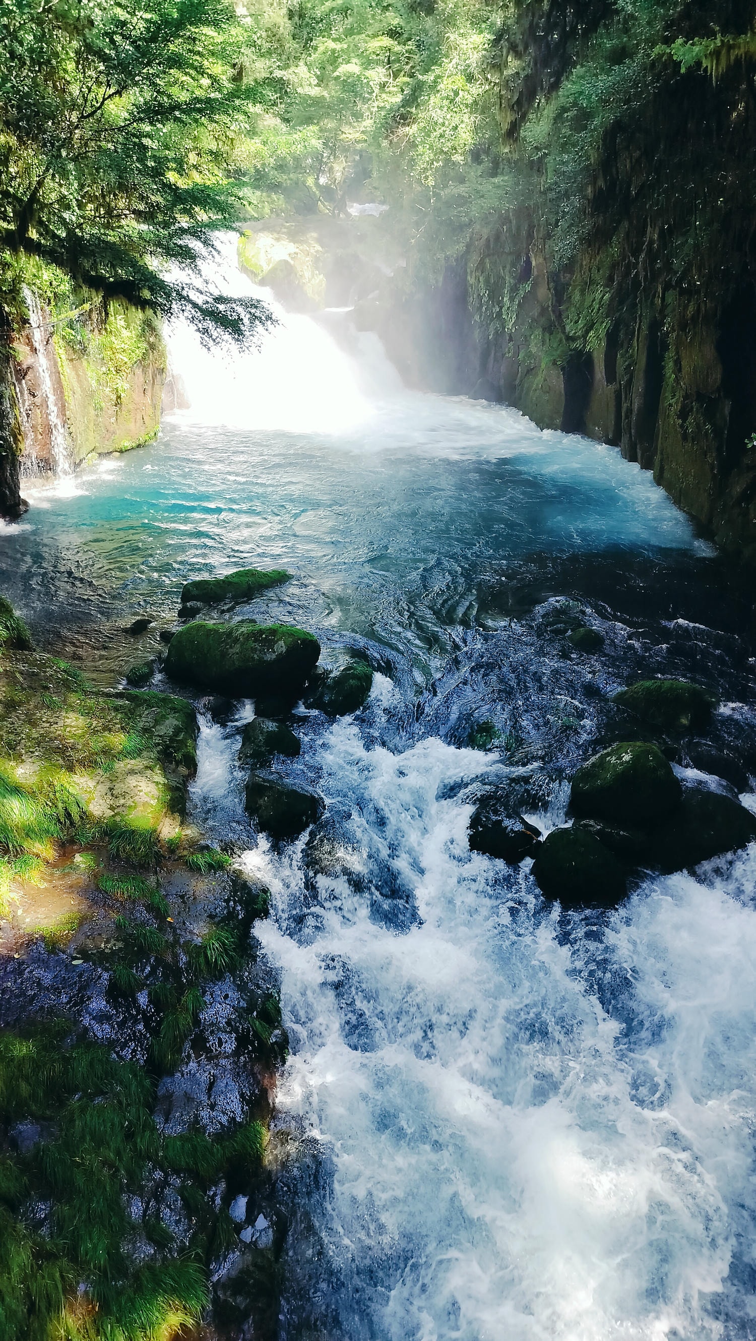 九州熊本┃阿蘇國立公園百選森林浴-菊池溪谷 網美哈密瓜巨蛋館買名產 熊本縣菊池市自駕推薦!