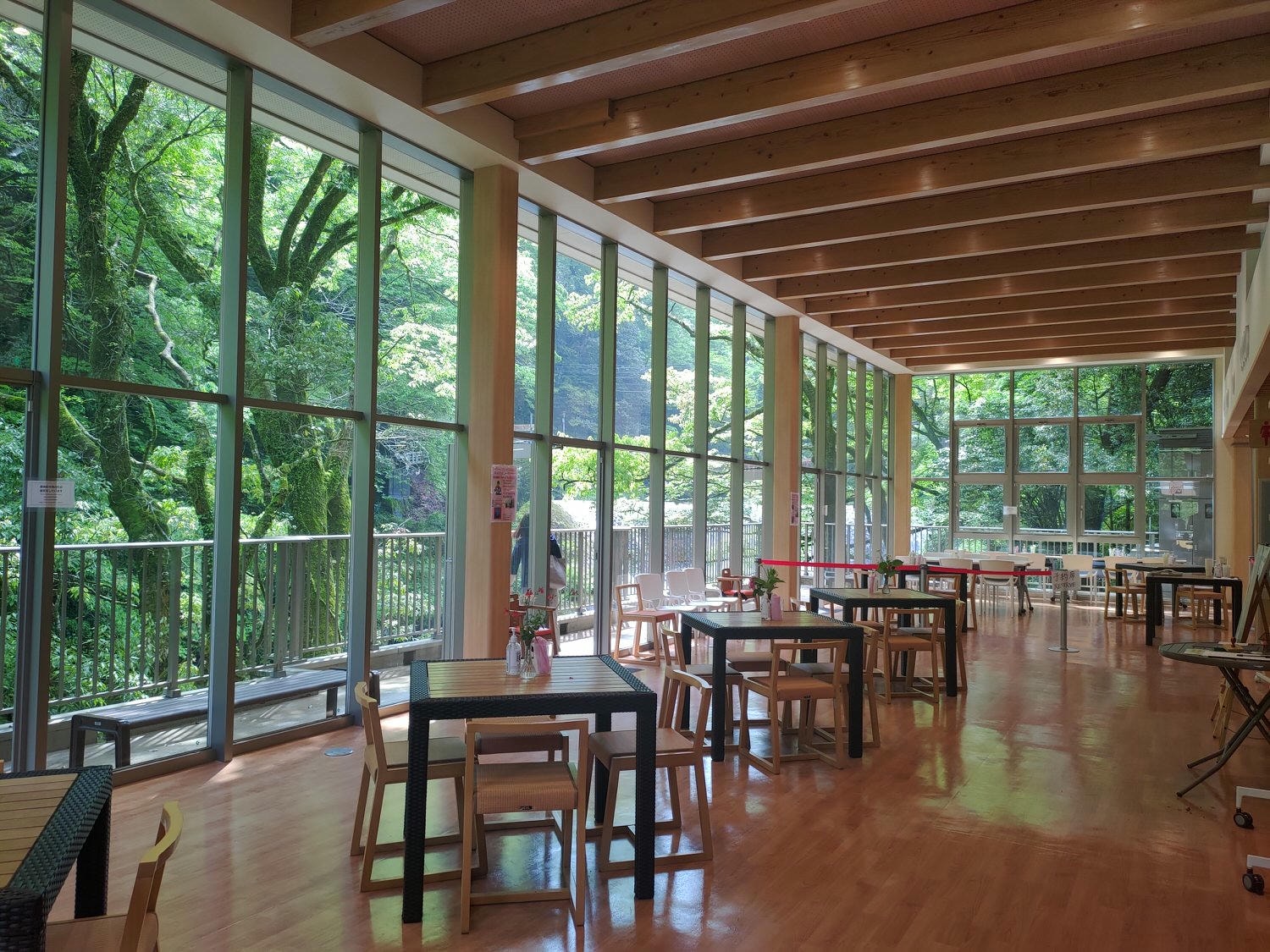 九州熊本┃阿蘇國立公園百選森林浴-菊池溪谷 網美哈密瓜巨蛋館買名產 熊本縣菊池市自駕推薦!