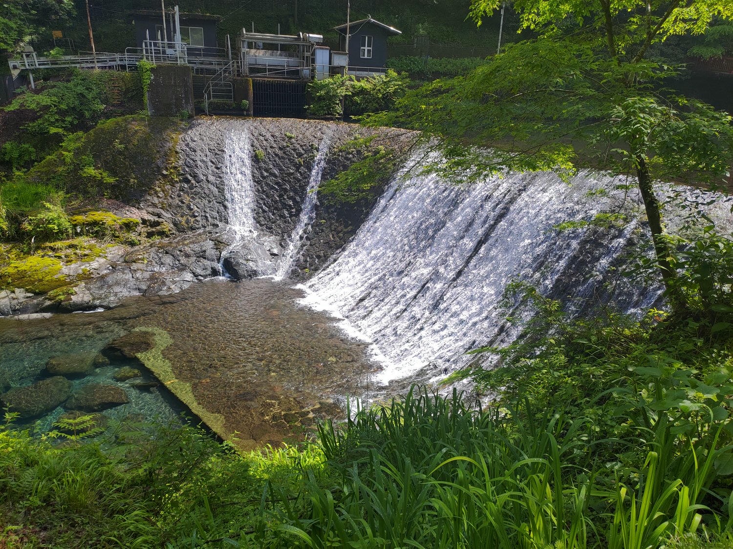 九州熊本┃阿蘇國立公園百選森林浴-菊池溪谷 網美哈密瓜巨蛋館買名產 熊本縣菊池市自駕推薦!