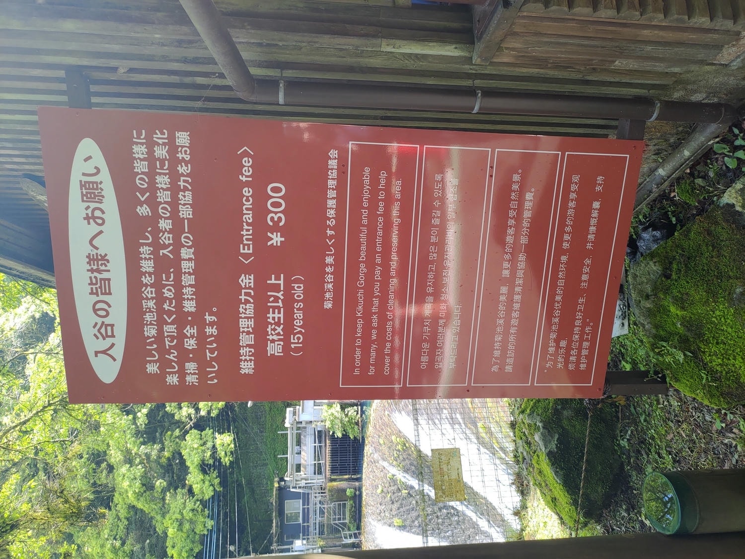 九州熊本┃阿蘇國立公園百選森林浴-菊池溪谷 網美哈密瓜巨蛋館買名產 熊本縣菊池市自駕推薦!